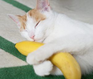 Bananen helpen je om slaperig te worden