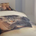 Verwen je kat op World Cat Day en slaap onder het leukste poezen beddengoed van Smulderstextiel!